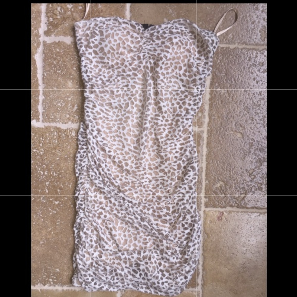 Arden B leopard Xs Bodycon mini dress